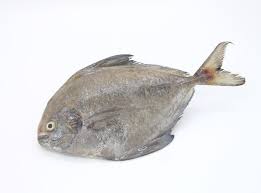 Ikan Bawal